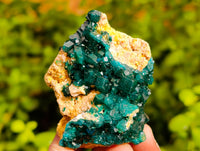 Natural Dioptase On Dolomite Specimens x 12 From Likasi, Congo - Toprock Gemstones and Minerals