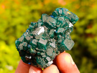 Natural Dioptase On Dolomite Specimens x 12 From Likasi, Congo - Toprock Gemstones and Minerals