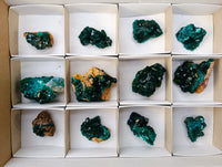 Natural Dioptase On Dolomite Specimens x 12 From Likasi, Congo - Toprock Gemstones and Minerals