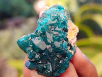 Natural Dioptase On Dolomite Specimens x 12 From Likasi, Congo - Toprock Gemstones and Minerals