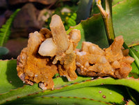 Natural Golden Limonite Fairy Spirit Quartz Clusters x 24 From South Africa - Toprock Gemstones and Minerals
