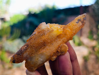 Natural Golden Limonite Fairy Spirit Quartz Clusters x 24 From South Africa - Toprock Gemstones and Minerals