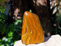 Polished Golden River Tigers Eye Standing Free Forms x 2 From Prieska, South Africa - Toprock Gemstones and Minerals