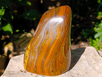 Polished Golden River Tigers Eye Standing Free Forms x 2 From Prieska, South Africa - Toprock Gemstones and Minerals