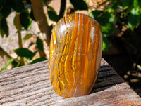 Polished Golden River Tigers Eye Standing Free Forms x 2 From Prieska, South Africa - Toprock Gemstones and Minerals