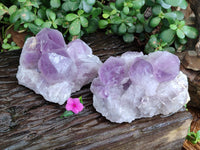 Natural Jacaranda Amethyst Quartz Cluster x 2 From Mumbwa, Zambia - Toprock Gemstones and Minerals