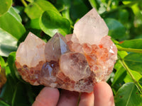 Natural Cactus Flower Amethyst Spirit Quartz Clusters x 18 From South Africa - Toprock Gemstones and Minerals