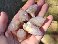 Natural Cactus Flower Amethyst Spirit Quartz Clusters x 18 From South Africa - Toprock Gemstones and Minerals