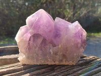 Natural Jacaranda Amethyst Quartz Cluster x 2 From Mumbwa, Zambia - Toprock Gemstones and Minerals
