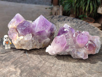 Natural Jacaranda Amethyst Quartz Cluster x 2 From Mumbwa, Zambia - Toprock Gemstones and Minerals