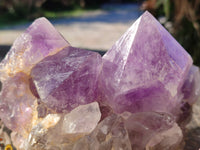 Natural Jacaranda Amethyst Quartz Cluster x 2 From Mumbwa, Zambia - Toprock Gemstones and Minerals