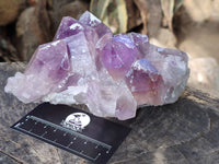 Natural Jacaranda Amethyst Quartz Cluster x 2 From Mumbwa, Zambia - Toprock Gemstones and Minerals