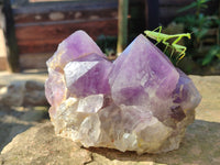Natural Jacaranda Amethyst Quartz Cluster x 2 From Mumbwa, Zambia - Toprock Gemstones and Minerals