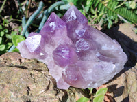 Natural Jacaranda Amethyst Quartz Cluster x 2 From Mumbwa, Zambia - Toprock Gemstones and Minerals