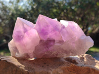 Natural Jacaranda Amethyst Quartz Cluster x 2 From Mumbwa, Zambia - Toprock Gemstones and Minerals