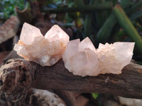 Natural Cactus Flower Amethyst Spirit Quartz Clusters x 24 From South Africa - Toprock Gemstones and Minerals