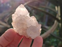 Natural Cactus Flower Amethyst Spirit Quartz Clusters x 24 From South Africa - Toprock Gemstones and Minerals