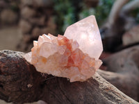Natural Cactus Flower Amethyst Spirit Quartz Clusters x 24 From South Africa - Toprock Gemstones and Minerals
