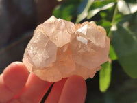 Natural Cactus Flower Amethyst Spirit Quartz Clusters x 24 From South Africa - Toprock Gemstones and Minerals