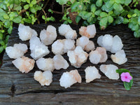 Natural Cactus Flower Amethyst Spirit Quartz Clusters x 24 From South Africa - Toprock Gemstones and Minerals