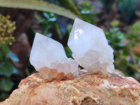 Natural Cactus Flower Amethyst Spirit Quartz Clusters x 24 From South Africa - Toprock Gemstones and Minerals