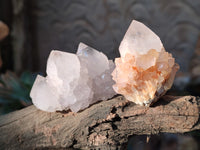 Natural Cactus Flower Amethyst Spirit Quartz Clusters x 24 From South Africa - Toprock Gemstones and Minerals