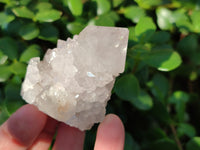 Natural Cactus Flower Amethyst Spirit Quartz Clusters x 24 From South Africa - Toprock Gemstones and Minerals