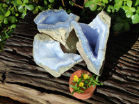 Natural Blue Lace Agate Geodes x 3 From Nsanje, Malawi - Toprock Gemstones and Minerals