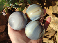 Polished Banded Agate Spheres x 4 From Madagascar - Toprock Gemstones and Minerals