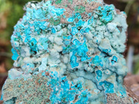 Natural Drusy Coated Chrysocolla Specimens x 2 From Congo - Toprock Gemstones and Minerals
