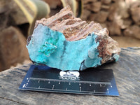 Natural Drusy Coated Chrysocolla Specimens x 2 From Congo - Toprock Gemstones and Minerals