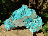 Natural Drusy Coated Chrysocolla Specimens x 2 From Congo - Toprock Gemstones and Minerals