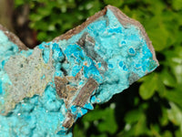 Natural Drusy Coated Chrysocolla Specimens x 2 From Congo - Toprock Gemstones and Minerals