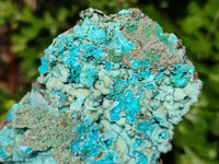 Natural Drusy Coated Chrysocolla Specimens x 2 From Congo - Toprock Gemstones and Minerals