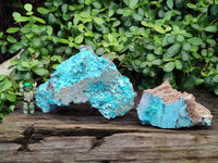 Natural Drusy Coated Chrysocolla Specimens x 2 From Congo - Toprock Gemstones and Minerals
