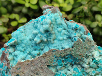 Natural Drusy Coated Chrysocolla Specimens x 2 From Congo - Toprock Gemstones and Minerals