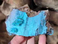 Natural Drusy Coated Chrysocolla Specimens x 2 From Congo - Toprock Gemstones and Minerals