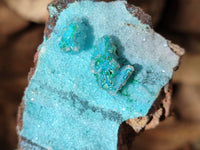 Natural Drusy Coated Chrysocolla Specimens x 2 From Congo - Toprock Gemstones and Minerals