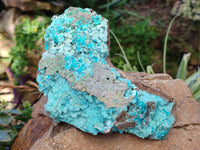 Natural Drusy Coated Chrysocolla Specimens x 2 From Congo - Toprock Gemstones and Minerals