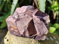 Natural Nguni Jasper Cobbed Specimens x 23 From Prieska, South Africa - Toprock Gemstones and Minerals