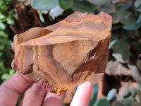 Natural Nguni Jasper Cobbed Specimens x 23 From Prieska, South Africa - Toprock Gemstones and Minerals