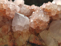 Natural Hematoid Orange and Lilac Spirit Quartz Cluster x 1 From South Africa - Toprock Gemstones and Minerals