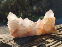 Natural Lilac Cactus Spirit Quartz Clusters x 6 From South Africa - Toprock Gemstones and Minerals