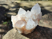 Natural Lilac Cactus Spirit Quartz Clusters x 6 From South Africa - Toprock Gemstones and Minerals