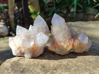 Natural Lilac Cactus Spirit Quartz Clusters x 6 From South Africa - Toprock Gemstones and Minerals