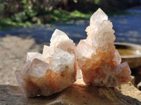 Natural Lilac Cactus Spirit Quartz Clusters x 6 From South Africa - Toprock Gemstones and Minerals