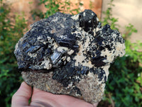 Natural Schorl Black Tourmaline with Smokey Quartz and Hyalite Opal x 1 From Erongo, Namibia - Toprock Gemstones and Minerals