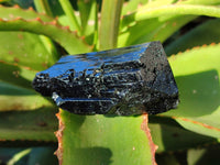 Natural Fibrous Schorl Black Tourmaline Specimens with a Hyalite Opal x 6 From Erongo, Namibia - Toprock Gemstones and Minerals