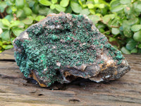 Natural Ball Malachite and Drusy Quartz On Dolomite Matrix Specimens x 2 From Kambove, Congo - Toprock Gemstones and Minerals