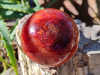 Polished Carnelian Agate Spheres x 3 From Madagascar - Toprock Gemstones and Minerals